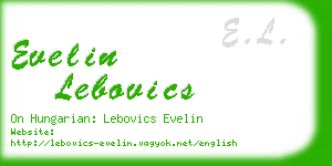 evelin lebovics business card